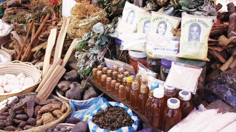 Nigeria’s slow, tedious road to herbal medicine development | The Guardian Nigeria News