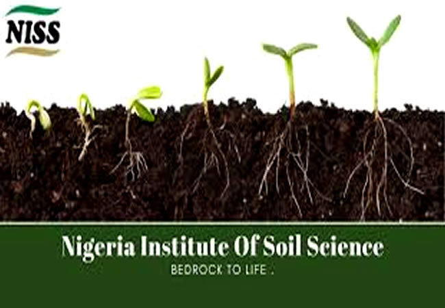 NISS develops app to manage Nigerian soil, boost food production