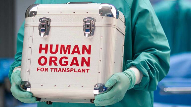 Legal aspects of organ trafficking – Part 3 | The Guardian Nigeria News