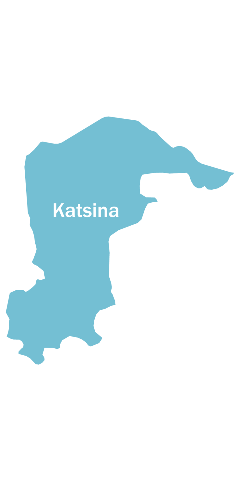 Over 1.2m children under five stunted in Katsina –Report
