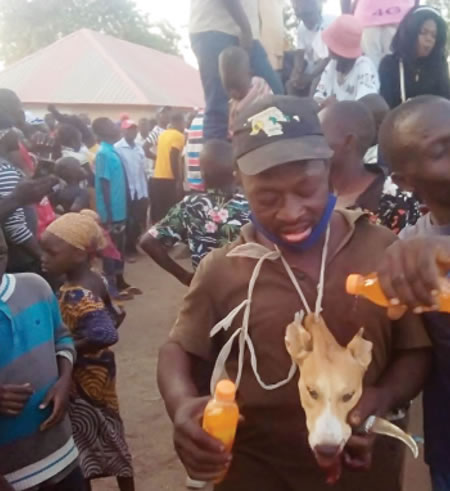 19,000 sign petition against Tangale dog consumption carnival in