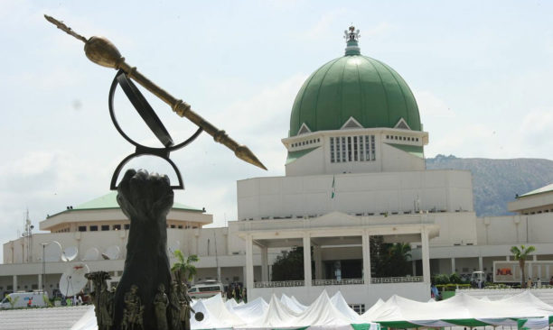 9th National Assembly: Beyond passing bills