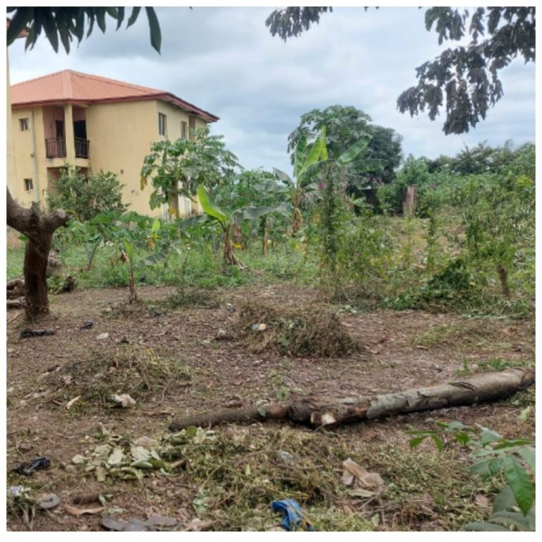 Abandoned Ogun general hospital transforms to farmland